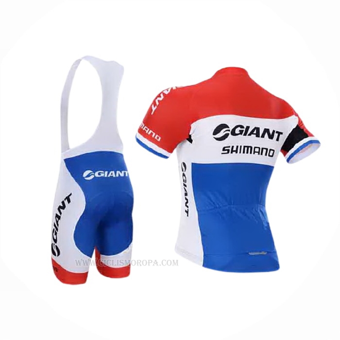 2015 Ropa Ciclismo Giant Alpecin Mangas Corta y Culotte Corto